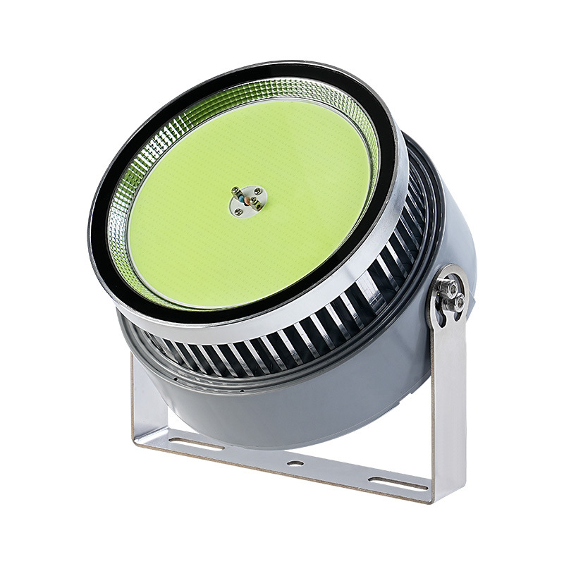 1000 Watt Led Fish Light For O - Outdoor Lighting Wall Mount 评论和价格