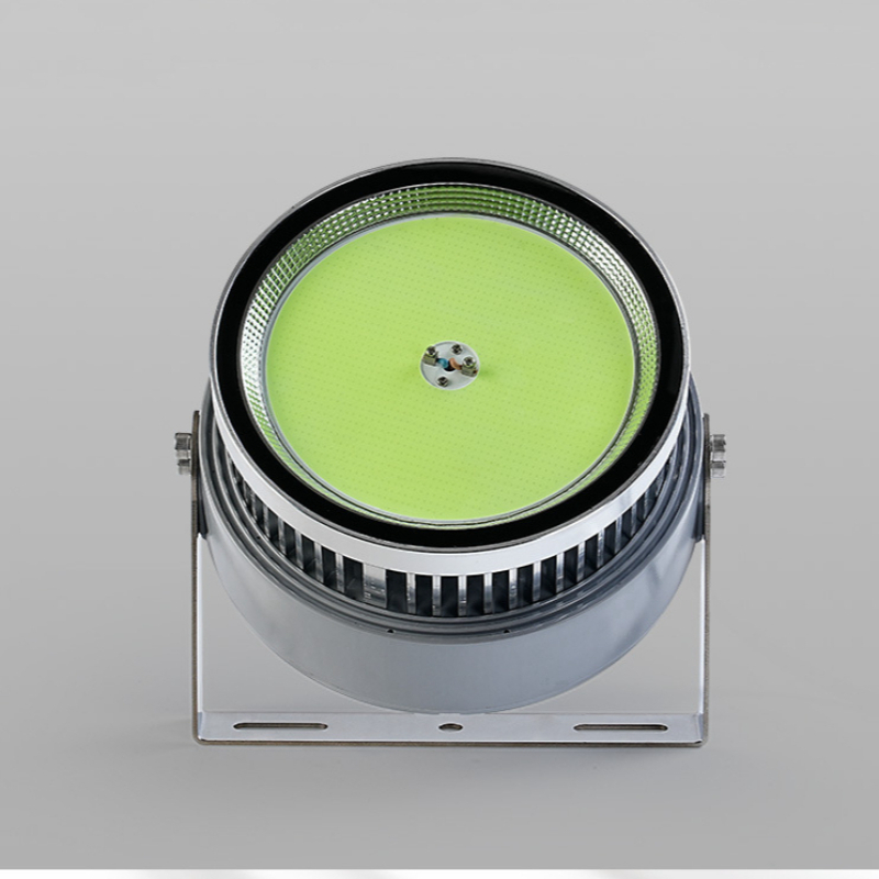 1000 Watt Led Fish Light For O - Outdoor Lighting Wall Mount 评论和价格