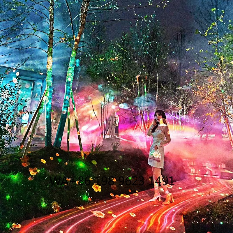 Outdoor RGB AnimationProjector - Outdoor Lighting For Christmas 评论和价格